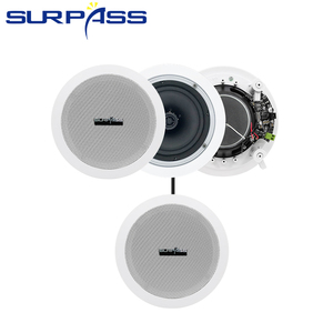 BTC42 Amplificador Clase D más vendido Sonido envolvente Sala <span class=keywords><strong>de</strong></span> estar BT activo en <span class=keywords><strong>altavoces</strong></span> <span class=keywords><strong>de</strong></span> <span class=keywords><strong>techo</strong></span> - Product Image 3