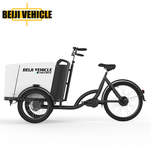 Three Wheel <strong>Electric</strong> Cargo <strong>Bike</strong> <strong>Used</strong> <strong>for</strong> Adult From Factory <strong>for</strong> <strong>Sale</strong> - Product Image 4