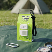 Kit de lampe à sel portable pour le camping, LED étanche, pour la pêche nocturne, la randonnée, l'escalade, 140h d'autonomie, sans piles