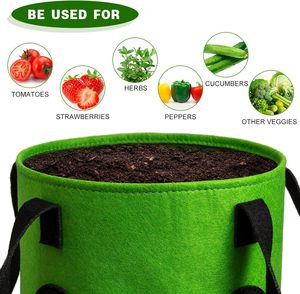 Lot de 2 sacs de plantation suspendus vert pour tomates et herbes, sacs de plantation durables en tissu aéré pour fraises, à suspendre en extérieur - Product Image 4