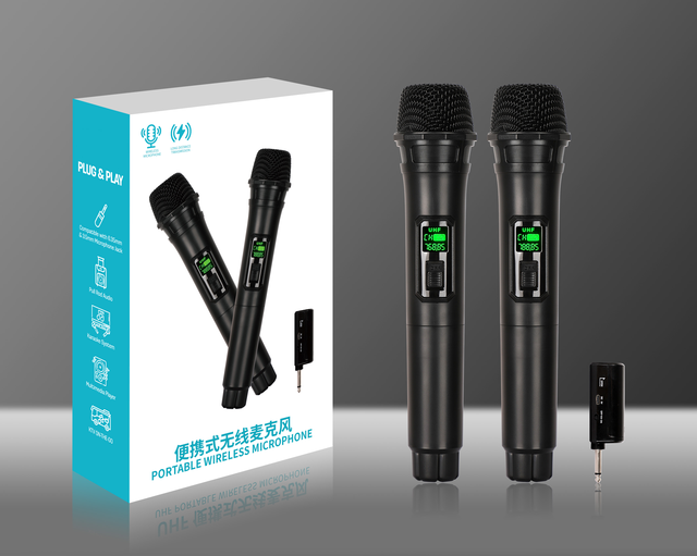 HL-M1011 2.4G Portable Karaoke Machine with DSP All-in-One Wireless Mic System for Home & Outdoor Singing
