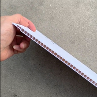 Paneles de techo de PVC de vinilo lisos para techo, película de madera para ventilación de aire Exterior impermeable de 12 pulgadas personalizada