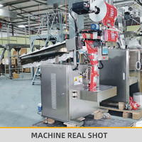 Machine à emballer verticale semi-automatique d'emballage d'arachide de pistache de sac de sachet pour des écrous