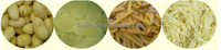 HNRELIABLE Machine à éplucher et à couper les pommes de terre en spirale centrifuge en acier inoxydable, moteur commercial 0,75 kW, 100-200 kg/h, pour frites