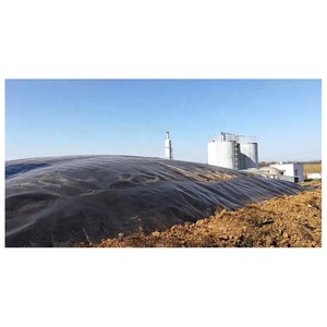 Polyethylene màu xanh đen <span class=keywords><strong>geomembrane</strong></span> được sử dụng cho tailings dam thứ cấp lót bãi rác đường sắt đường cao tốc chống thấm xây dựng - Product Image 6