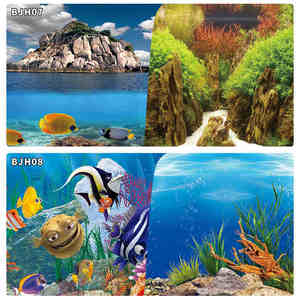 Hersteller <span class=keywords><strong>Aquarium</strong></span> Hintergrund Aufkleber Doppelseitiges <span class=keywords><strong>Aquarium</strong></span> Dekorative Bilder Unterwasser Hintergrund Dekor - Product Image 6