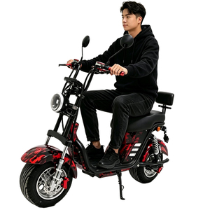 Scooter à double siège, pneus larges, batterie au lithium, scooter Halei, scooter à pneus larges, moteur - Product Image 3