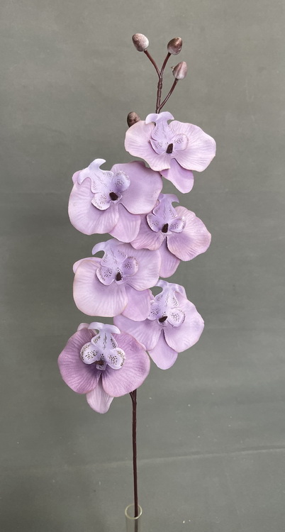 Lilas