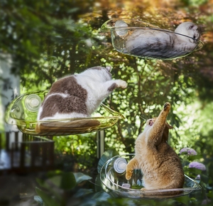 Новый продавец, полипропиленовый материал, прочная присоска, кошачье гнездо, кошачье гнездо, гамак, французское окно, присоска, гнездо для домашних животных - Product Image 6