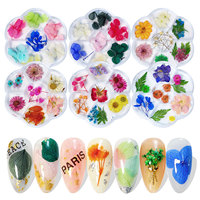 Fleurs séchées naturelles pressées pour les ongles, pièces, divers paquets, vente directe d'usine, matériel de bricolage