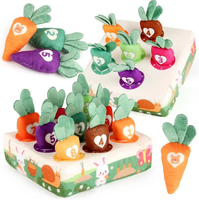 Jeu de Récolte de Carottes en Peluche 1 Ensemble Boîte Sensorielle Multi-Activités Puzzle de Tri et d'Association Cadeau Jouet PVC Bébé à Tirer Konig Enfants 0-24