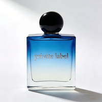 Parfum de Cologne pour homme de luxe, senteur boisée, 100 ml, vaporisateur longue durée, parfum de créateur personnalisé pour un usage quotidien