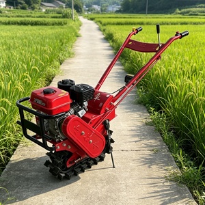Tracteur de jardin NEWWPANDA 177 de haute qualité, moteur à essence refroidi par air, pour le travail du sol, le labourage, le creusement de fossés, le désherbage, haute productivité - Product Image 1