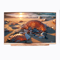 Écran industriel IPS 17,3 pouces, module d'affichage LCD TFT 17,3 pouces 1920*1080 avec interface EDP 500 nit pour appareils médicaux portables