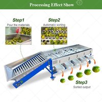 Olijf Knoflook Groente Fruit Mango Dadel Kers Automatische Maatselectie Sorteermachine Hoge Efficiëntie SUS304 RVS Fruit
