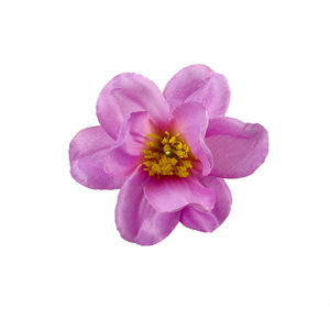 Fleurs artificielles de freesia, tête de fleur en soie de 9 cm de diamètre, pour décoration de mariage, accessoires de photographie, accessoires pour cheveux - Product Image 5