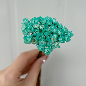 Stella brasiliana fiori secchi conservati fiori piccola montagna margherita corona popolare decorazioni di natale e ringraziamento - Product Image 4