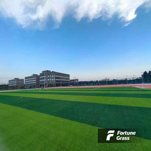 Bon coût gazon artificiel Pasto Sintetico terrain de futsal terrain de football gazon de football Mini terrain de football gazon artificiel intérieur - Product Image 3