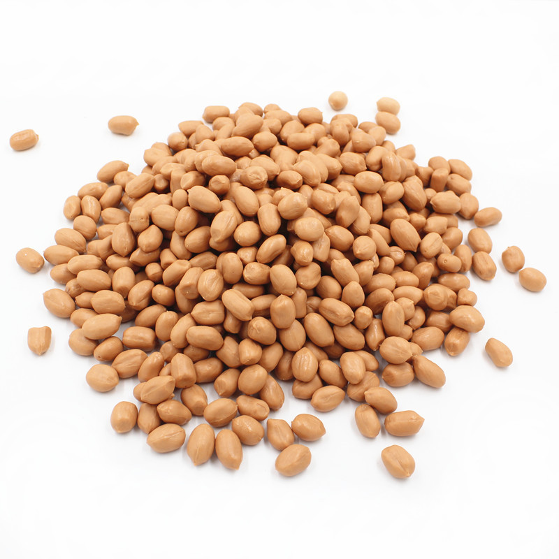 Alipis Giant Fake Peanut Ornament – Fun Foam Decor For Parties, Photo Props, & Table Centerpieces