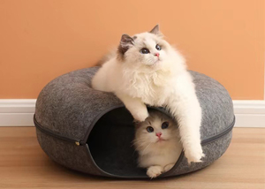 <span class=keywords><strong>Tunnel</strong></span> per animali domestici in feltro personalizzato alla moda <span class=keywords><strong>Tunnel</strong></span> per Cave di gatto resistente a forma di ciambella rimovibile con cerniera <span class=keywords><strong>Tunnel</strong></span> per animali domestici con Moq basso - Product Image 2