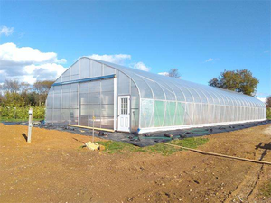 โรงเรือนฟิล์มแบบช่วงเดียว ทนทานต่อสภาพอากาศ ป้องกันความร้อนได้ดี เหมาะสำหรับการปลูกพืชไร้ดินและการปลูกพืชในดินหลากหลายชนิด - Product Image 1