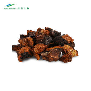 chagamushroomsbenefits