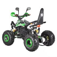 Quad électrique 1000W, batterie au plomb-acide 20AH, châssis en acier, 3 vitesses, pour enfants, extérieur