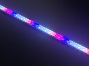 Lámpara de acuario LED de espectro completo para plantas IP68 Luz de corales para pecera Azul/RGB/RGBW CCT Colores Blanco/Verde/Rojo Emisión - Product Image 5