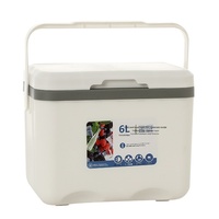 Glacière portable isotherme en PP 6L pour marché nocturne extérieur, pique-nique et conservation des aliments frais