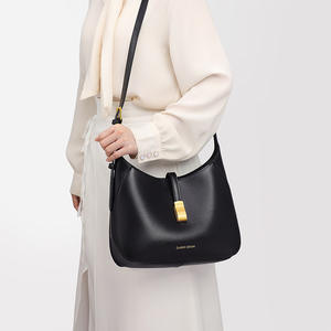 Nouveau style 2025 – Sac fourre-tout multifonctionnel et tendance pour femme, idéal pour les trajets quotidiens, sac à bandoulière simple automne/hiver - Product Image 4