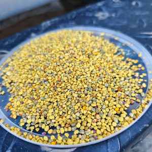 Polen de Abeja Mixto de Colza de Alta Calidad, 100% Puro y Fresco - Grado Alimenticio, Suministro al por Mayor, Almacenamiento en Frío y Oscuro - Product Image 6