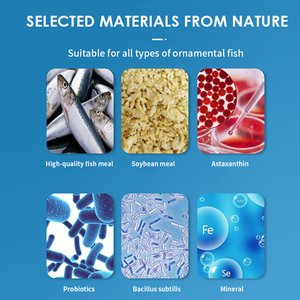 Venta Caliente de Alimento <span class=keywords><strong>para</strong></span> Peces Guppy, OEM y ODM - Product Image 6