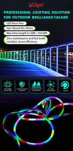 Neon Licht Met 50 Meter Neon Flex Van Pixel Rgb Strip Buitenverlichting <span class=keywords><strong>Led</strong></span> Strip Licht 12V Flexibele Neon Binnenlamp - Product Image 2