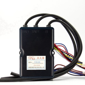 Allumeur à impulsions Lingmeng avec contrôleur intégré 3V, accessoire universel pour chauffe-eau au gaz, fixation par vis de taille standard - Product Image 4