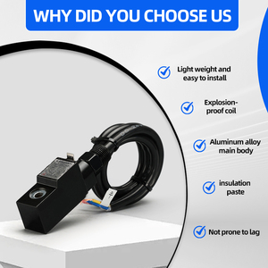 Взрывозащищенная катушка DQ T131--9 для пневматического клапана, серия взрывозащищенных электромагнитных клапанов 4V210, взрывозащищенная катушка-переключатель - Product Image 4