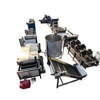 Kleine schaal 100kg/uur volautomatische productielijn voor frites & aardappelchips voor fruit & groenten