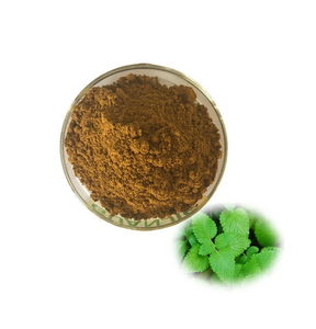Extracto Herbal de Bálsamo de Limón Silvestre 1% en Polvo Natural para Formulaciones de Suplementos Cosméticos de Grado Alimenticio - Product Image 2