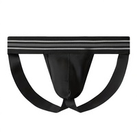 Herren Spitzen-Netzstoff Slips Gestreifter Bund Tiefsitzend Spandex/Baumwoll-Mischung Weich Schnelltrocknend Fitness Sport Unterwäsche Anpassbar