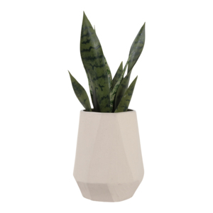 Vaso in Ceramica Angolare Contemporaneo dal Design Minimalista per Soggiorno, Camera da Letto e Ufficio - Product Image 2