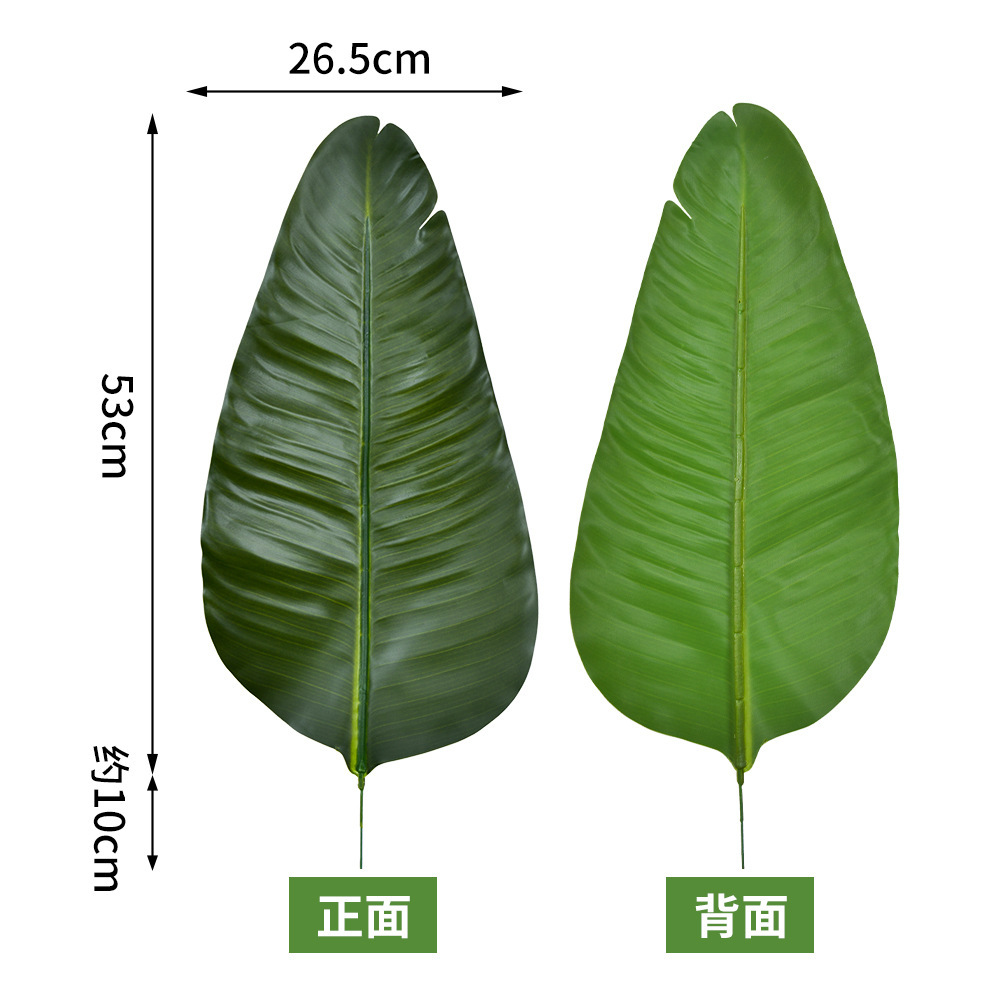 Banana viajero oscuro-[hoja mediana]]