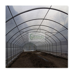 Automatizado Tunel De Efecto Invernaderos Usados Para La Venta Gotico Sistema Nebulisateur Pour Serre Agricale Tunnel Tomate - Product Image 5