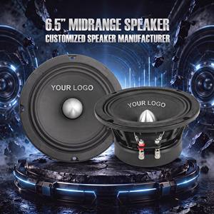 Altoparlante Midrange per Auto Personalizzabile da 6,5 Pollici, Speaker Professionale in Alluminio 65A30-03 - Product Image 1