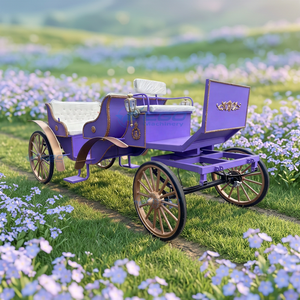 Carruaje Turístico Encantador //Carruaje Turístico para Bodas/Carruaje Turístico Eléctrico Clásico de Color Morado - Product Image 1