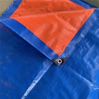 Bâche en tissu laminé HDPE PE imperméable de couleur bleue, fabriquée en Chine, pour garçons et filles