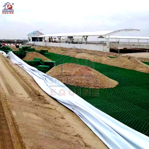 Rejillas modernas <span class=keywords><strong>de</strong></span> pavimentación <span class=keywords><strong>de</strong></span> rejilla <span class=keywords><strong>de</strong></span> hierba HDPE para estacionamiento <span class=keywords><strong>de</strong></span> plástico escolar y <span class=keywords><strong>de</strong></span> entrada - Product Image 3