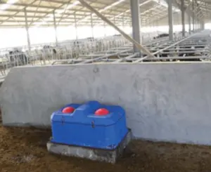 牧場の牛の家畜用の4つの穴のある水タンク