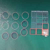 Cage ronde de pisciculture d'aquaculture de HDPE flottant en eau profonde