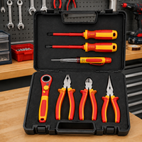 Ensemble d'outils isolés 1000V robustes avec mallette de transport, livraison rapide, personnalisation OEM/ODM