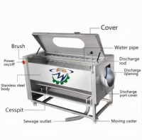 Parallelle Wolrolreinigingsmachine Voor Fruit En Plantaardige Wol Rolreinigingsmachine