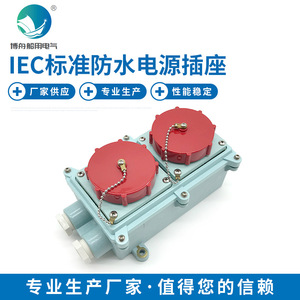Prise double rouge RSIL2-3, norme IEC, marine, industrielle, en verre, niveau IP55 IP44, 125A 16A, Afrique du Sud, Chine - Product Image 5